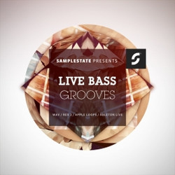 Samplestate Live Bass Grooves