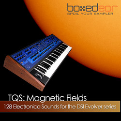 Boxed Ear TQS Magnetic Fields