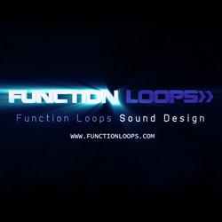 Function Loops