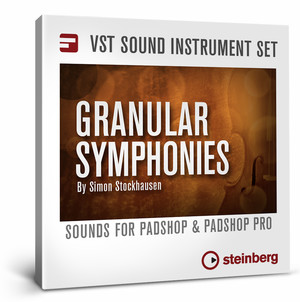 Steinberg Granular Symphonies