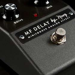 Minifooger Delay