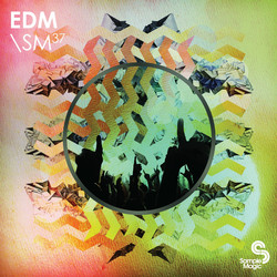 Sample Magic EDM