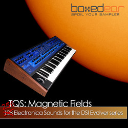 Boxed Ear TQS Magnetic Fields