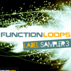 Function Loops Label Sampler 3