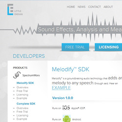 Little Endian Melodify SDK