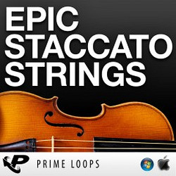 Prime Loops Epic Staccato Strings