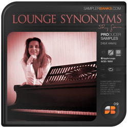 Samplerbanks Lounge Synonyms