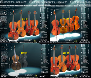 Kirk Hunter Spotlight Strings