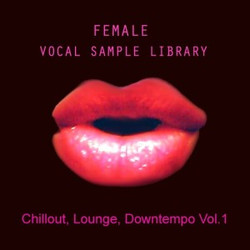 Chillout, Lounge, Downtempo Vol 1