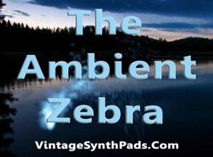 Vintage Synth Pads The Ambient Zebra