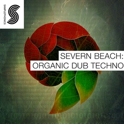 Severn Beach Organic Dub Techno