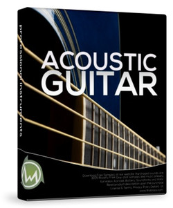 ThaLoops TLi Acoustic Guitar