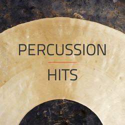 Spaectrum Arts Percussion Hits
