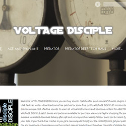 Voltage Disciple