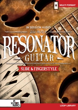 In Session Audio Resonator Guitar