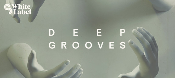 Sample Magic Deep Grooves
