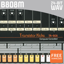 B808M Transistor Kicks