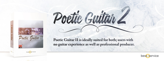 Best Service Poetic Guitars 2