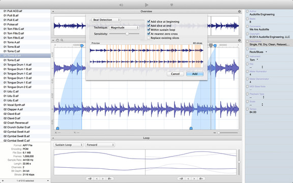 Audiofile Engineering Loop Editor 2