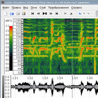 beatroot in sonic visualiser