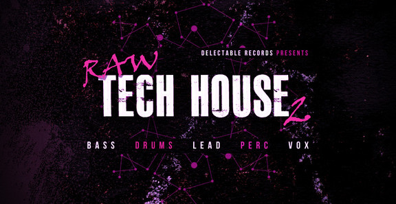 Delectable Records Raw Tech House 2