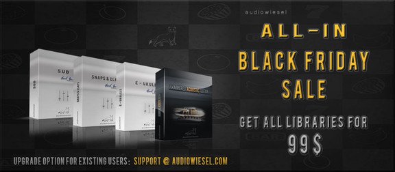 Audiowiesel Black Friday Special