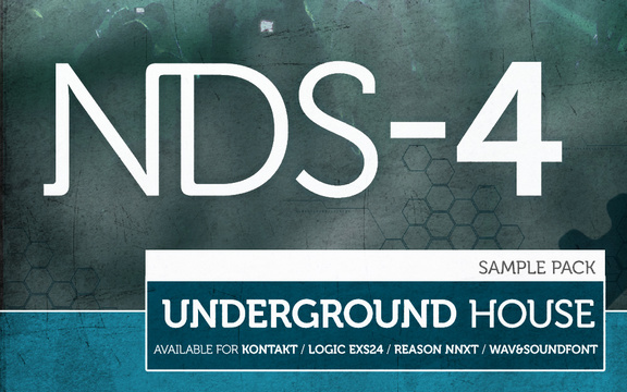 NDS-4 Underground House