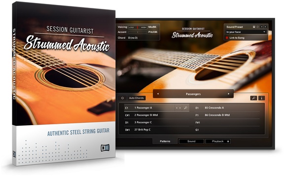 Session Guitarist - Strummed Acoustic