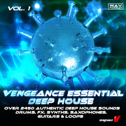 vengeance essential house