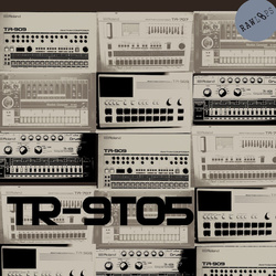 Raw Loops TR-9to5