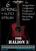 AudioWarrior 6 String Acoustic Guitar