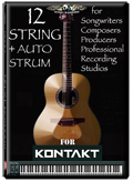 AudioWarrior Acoustic 12 String Guitar