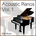 DSK Acoustic Pianos Vol. 1