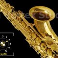 DVS Saxophone v1.2