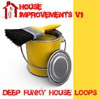 Loopmasters House Improvements v1