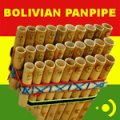 Precisionsound Bolivian Panpipe