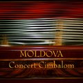 Precisionsound Moldova Concert Cimbalom