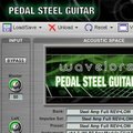 Wavelore Pedal Steel Guitar