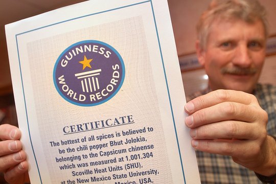 Guinness World Record certificate for the world's hottest chili pepper Bhut Jolokia
