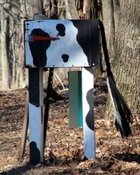 Decapitated Cow Mailbox