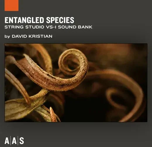 aas stringstudio entangledspecies