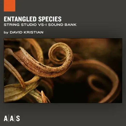 aas stringstudio entangledspecies