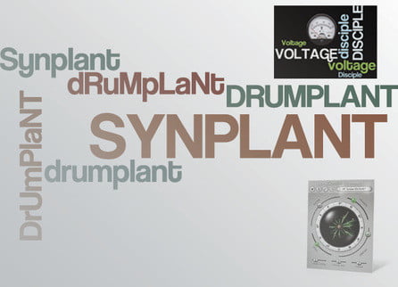 voltagedisciple drumplant