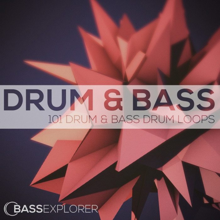 bassexplorer 101drumbassdrumloops