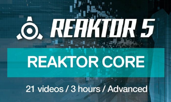 reaktor core