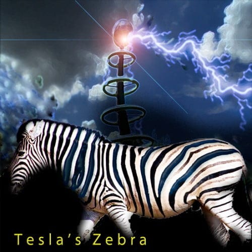 Vintage Synth Pads Tesla's Zebra