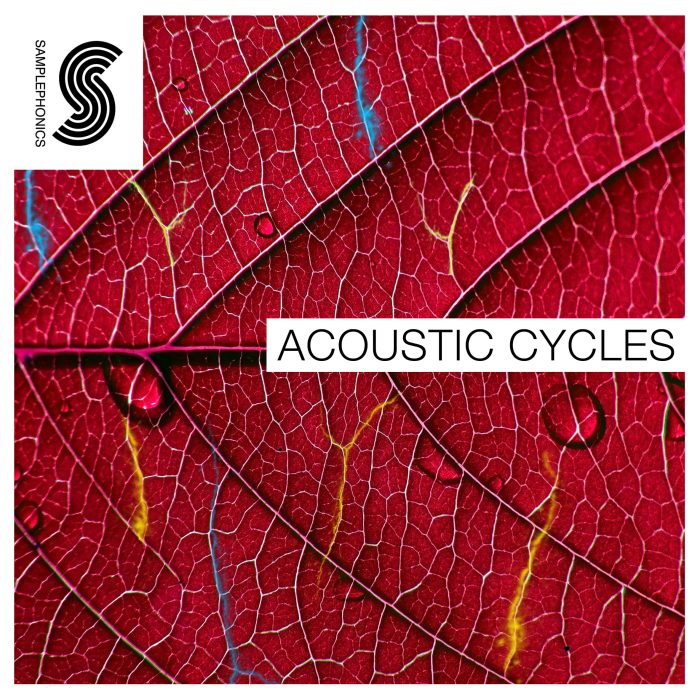 Samplephonics Acoustic Cycles