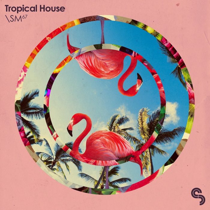 Sample Magic Tropical House