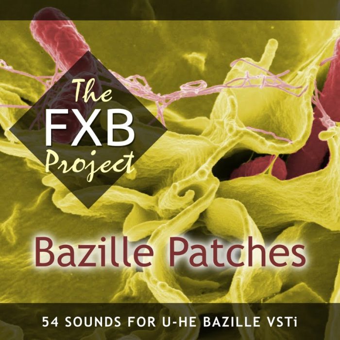 The FXB Project Bazille Patches