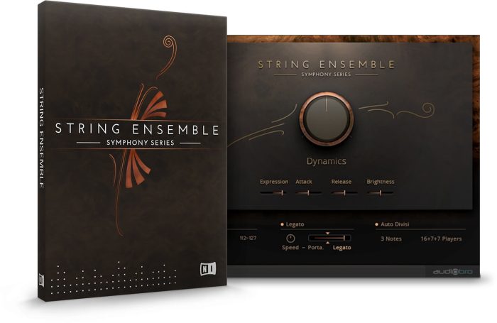 NI Symphony Series String Ensemble
